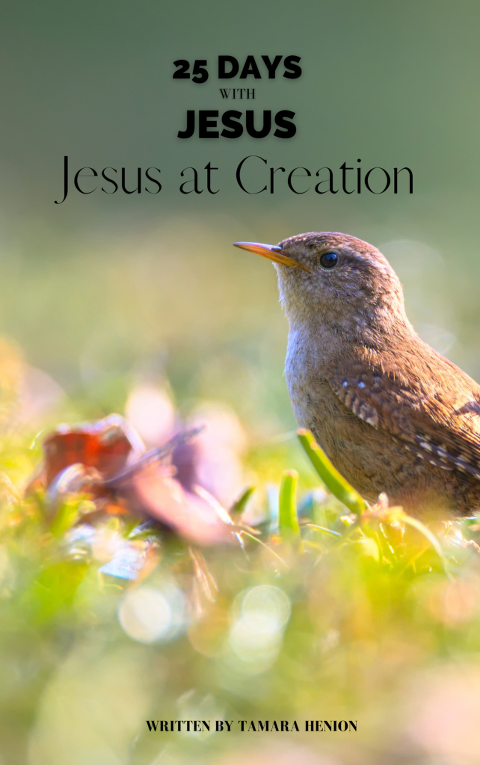 25 Day advent, Jesus at Creation